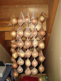 onions are hanging from the ceiling in an attic area with other items on display behind them