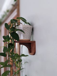 a potted plant sitting on top of a wooden shelf next to a white wall