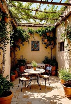 an outdoor dining area with potted plants