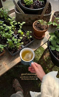 someone is holding a cup of tea in front of some potted plants