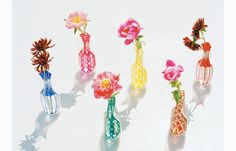 five colorful vases with flowers in them sitting on a white surface, one is empty