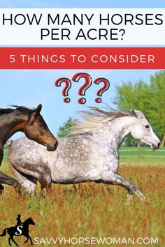 two horses running through the grass with question marks in front of them and text that says, how many horses per ace? 5 things to consider