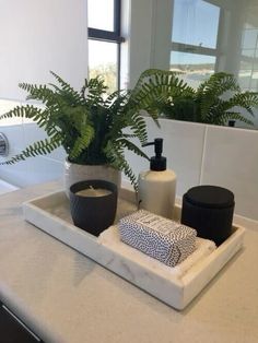 a bathroom sink with a plant and soap dispenser