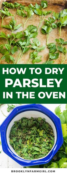 how to dry parsley in the oven with text overlay that reads, how to dry parsley in the oven