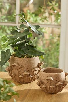 two planters sitting on top of a wooden table