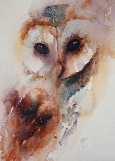 an owl's face is shown in this artistic painting