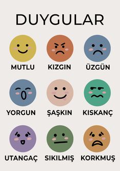 a poster with different types of emoticions on it's face and the words duygular