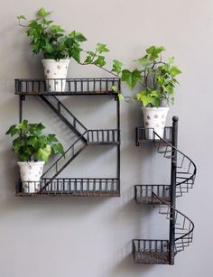 three metal shelves with plants on them