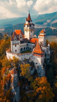 an aerial view of a castle surrounded by trees