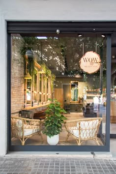 a store window with two chairs and a potted plant