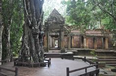 an old building surrounded by trees in the jungle