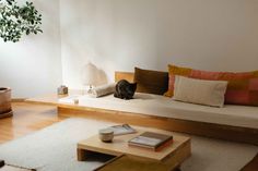 a living room with a couch, coffee table and potted plant