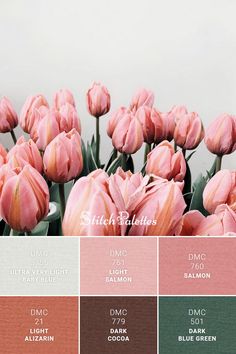 a bunch of pink tulips with different colors in the middle and bottom half