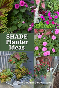 several different types of flowers in buckets on a wooden bench with text overlay that says shade planter ideas