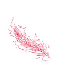 a drawing of a red feather on a white background