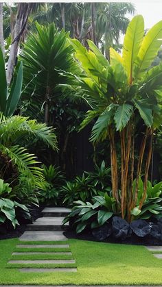 a lush green garden with stepping stones and palm trees