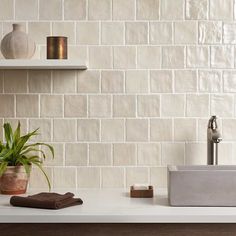 a bathroom with a sink, towel rack and potted plant on the counter top