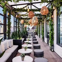 an outdoor seating area with plants and hanging lights