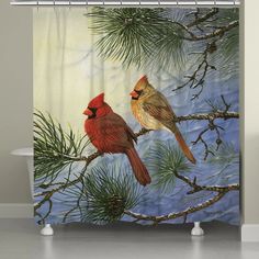 two cardinals sitting on a pine tree branch shower curtain set