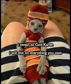 a cat wearing a hat and scarf sitting on someone's lap with the caption get a human they said it will be fun they said