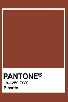 the pantone color is brown and has a white rectangle on top of it