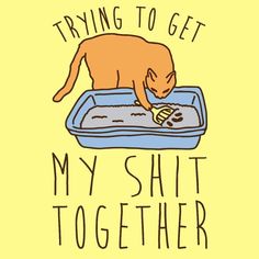 Katt Diy, Magnum Opus, Cat Shirt, E Card, Crazy Cat Lady, Funny Cat, Crazy Cats, The Words, Cat Memes