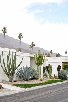 a house with cactus and cacti in front of it on the side of the road