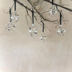 some glass balls hanging from a tree branch