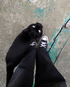 a black cat laying on top of someone's feet