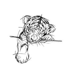 a pencil drawing of a tiger resting its head on a twig with it's mouth open