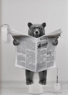 a bear is sitting on top of a toilet and reading a newspaper while wearing glasses