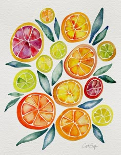 watercolor painting of oranges, lemons and limes with leaves on white background