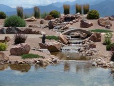 a small pond surrounded by rocks and plants