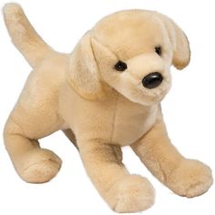 a stuffed dog is sitting on the ground