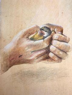 a drawing of two hands holding a small bird