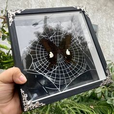 a person holding up a framed photo with a butterfly on it's web in front of some plants