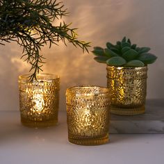 three gold glass vases with succulent plants in them