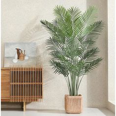 a palm tree in a planter next to a painting on a wall and a cabinet