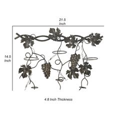 the grape vine wall hanging is shown with measurements