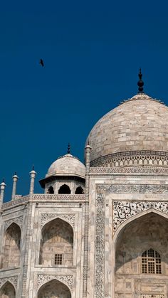 a large white building with two birds flying over it