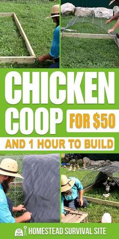 chicken coop for $ 50 and 1 hour to build by homested survival site, inc