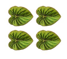 Kim Seybert Luxury Tropicana Drink Coasters in Green Kim Seybert, Candle Box, Tropical Leaf, Gift Product, Beautiful Clothes, Vibrant Green, Wood Slices, Beaded Bags, Tropical Leaves