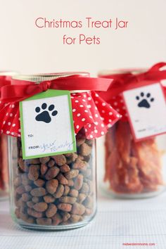 christmas treat jar for pets filled with dog treats