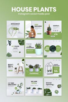 the green houseplants social media post template