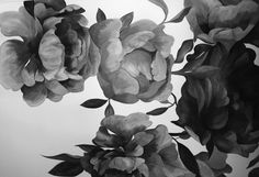 black and white photograph of flowers on the wall