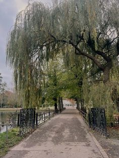 the walkway is lined with willow trees and wrought iron gates that lead to a lake