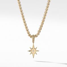 Expertly crafted in 18k yellow gold, the North Star Birthstone Amulet features a stunning center diamond, adding elegance to any jewelry collection. The North Star, Charms For Bracelets, Amulet Necklace, Amulets, Birthstone Charms, North Star, Yellow Diamond, Pink Diamond, David Yurman