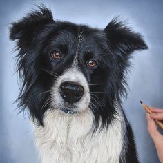 a painting of a black and white dog with a pencil in it's mouth