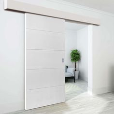 an open door leading to a living room with a plant in the corner and white walls