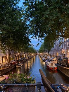 boats are lined up along the side of a narrow canal at dusk, with trees lining both sides